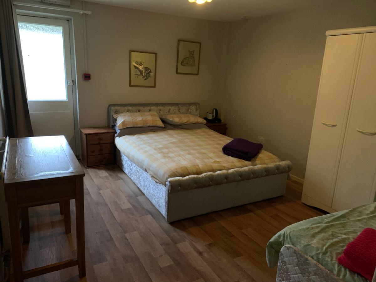 Hafan Y Coed - Haven Of Trees Bed and Breakfast Abercraf Buitenkant foto